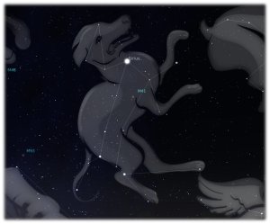 Kliknij by powiększyć