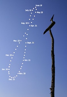 analemma analemma