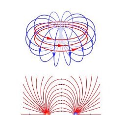 Zestawienie budowy anapola elektromagnetycznego (u góry, w kształcie toroidu, w którym zamknięty obwód magnetyczny), z polem elektrycznym (w środku) i magnetycznym (na dole). Widać, że linie pola anapola są zamknięte. W przypadku klasycznych pól nie wszystkie krzywe się zamykają. Wpływa to na możliwość oddziaływania z zewnętrznymi polami elektromagnetycznymi. (Credits: Michael Smeltzer, Vanderbilt University)