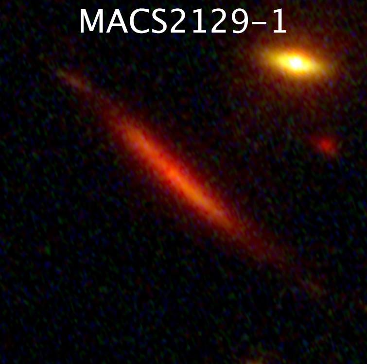 MACS2129-1