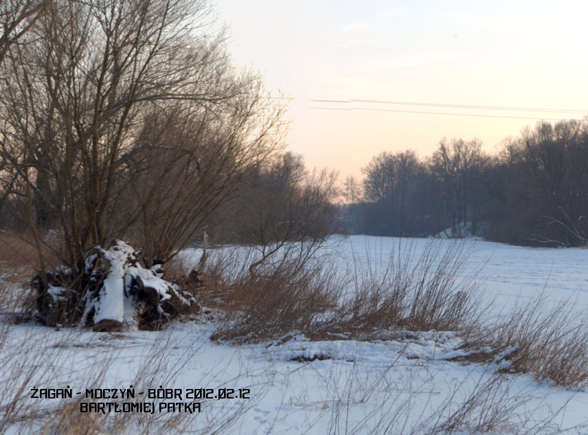 Zima,Moczyń, Patka