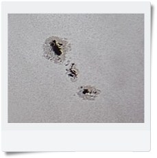 mariusz,rodziński,plamy,słońce,aktywność,październik,2011