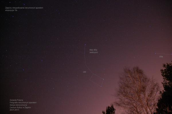 Mała Niedźwiedzica