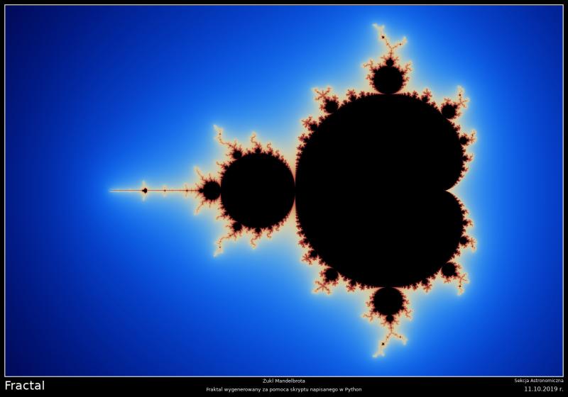 Żuk Mandelbrota