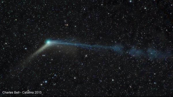 Catalina od Charles Bell 2015